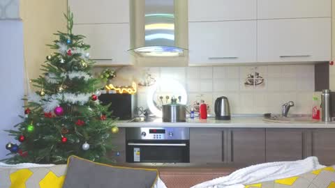 Alice online show from 24, 12, 2024