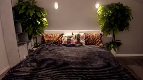 Emily online show from 2, 12, 2025