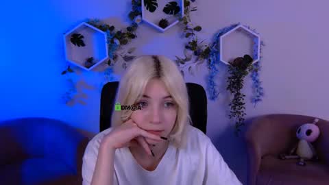 your dream  online show from 24, 6, 2026