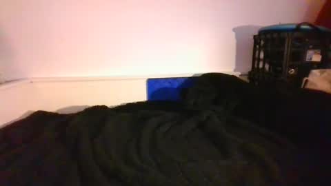 Snapshot of malebdsmslut chatting on 14, 12, 2024 CommandbondageNipples bondage kink submissive lovense slave wgear. modequiethvyBondage If Password goldfish online show from 14, 12, 2024