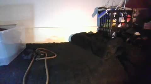 CommandbondageNipples bondage kink submissive lovense slave wgear. modequiethvyBondage If Password goldfish online show from 18, 1, 2026