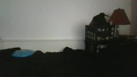 Snapshot of malebdsmslut chatting on 31, 5, 2026 CommandbondageNipples bondage kink submissive lovense slave wgear. modequiethvyBondage If Password goldfish online show from 31, 5, 2026