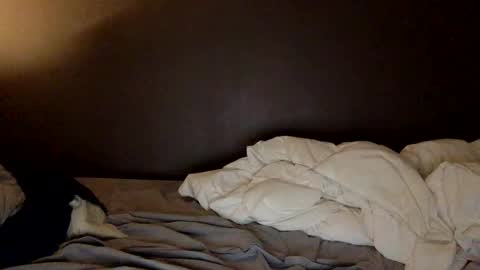 malefrench1 online show from 25, 3, 2026