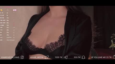 Snapshot of mamiemeow chatting on 10, 2, 2025 Your Miss Alice online show from 10, 2, 2025