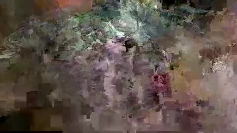 Snapshot of man_cok67xxx chatting on 13, 3, 2026 Mancok online show from 13, 3, 2026