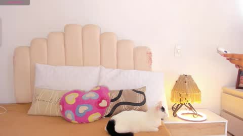   online show from 5, 11, 2025