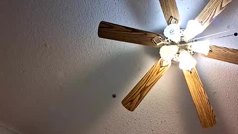 Jan and Man online show from 1, 2, 2026