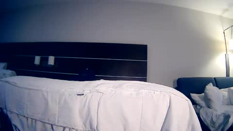 Snapshot of manuel_dexterity chatting on 15, 5, 2026 Daddy online show from 15, 5, 2026