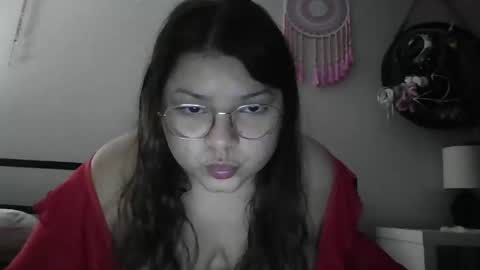 Snapshot of mapleless chatting on 4, 11, 2025 mapleless online show from 4, 11, 2025