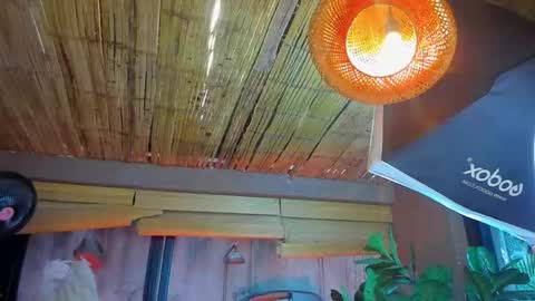 Snapshot of marcovitto chatting on 18, 11, 2025 marcovitto online show from 18, 11, 2025