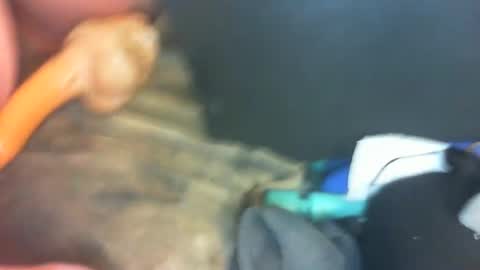 Marc online show from 1, 1, 2025