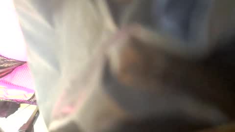 Maria Magdalena online show from 4, 10, 2025