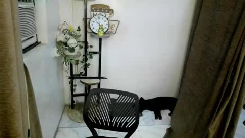 Marga online show from 8, 10, 2025