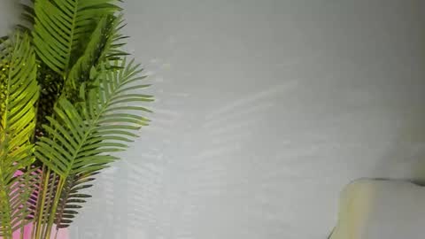 Masha online show from 8, 11, 2025