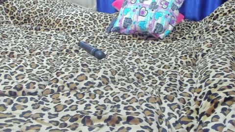 Snapshot of marie_marie03 chatting on 23, 1, 2025 Marie online show from 23, 1, 2025