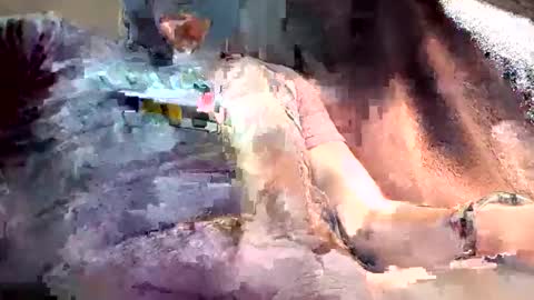 Snapshot of mark102839 chatting on 13, 3, 2026 mark102839 online show from 13, 3, 2026