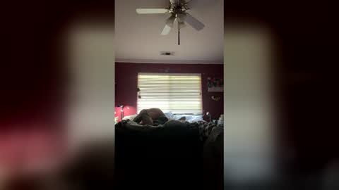 Snapshot of markcali87 chatting on 20, 2, 2026 markcali87 online show from 20, 2, 2026