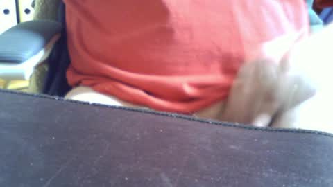 marko_th online show from 24, 6, 2026