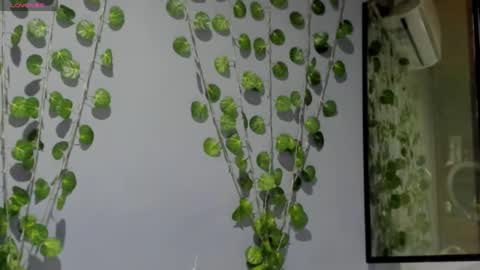 marly online show from 26, 2, 2025