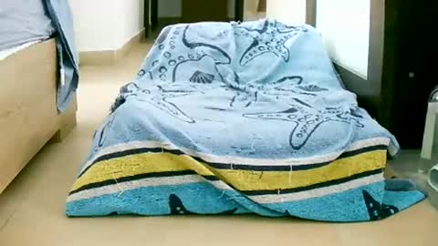Snapshot of martinas_fantasies chatting on 12, 10, 2025 Play with me I obey I promise  online show from 12, 10, 2025