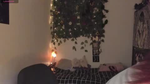 maria online show from 15, 12, 2025