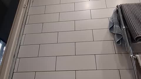 Bob online show from 14, 10, 2025