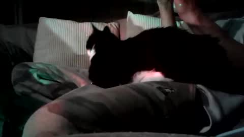 Snapshot of mastrdebator chatting on 5, 11, 2025 mastrdebator online show from 5, 11, 2025