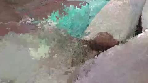 mathisdavid6757 online show from 7, 2, 2026