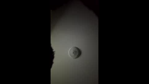 matthewc281 online show from 4, 4, 2026