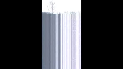 matzs3rvices online show from 22, 12, 2025