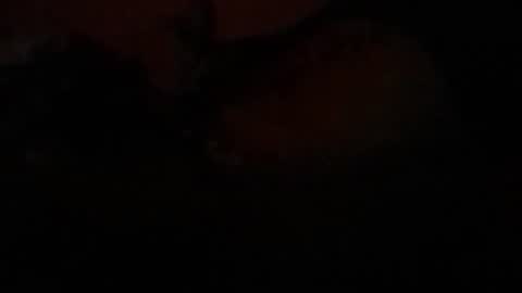 Lira online show from 23, 2, 2026