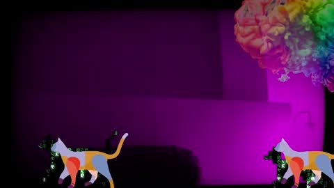 Snapshot of max_original chatting on 28, 1, 2025 Future Max online show from 28, 1, 2025