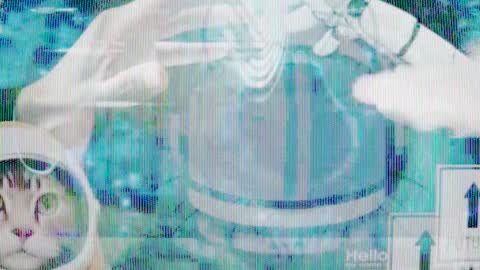 Snapshot of max_original chatting on 28, 1, 2025 Future Max online show from 28, 1, 2025