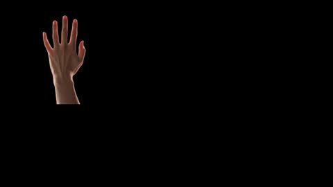 Snapshot of max_original chatting on 24, 2, 2025 Future Max online show from 24, 2, 2025