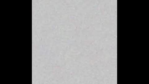 Maxel F online show from 7, 1, 2026