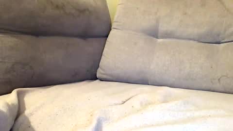 maximemax14 online show from 25, 2, 2026