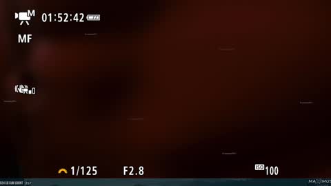 Snapshot of maximus_787 chatting on 31, 1, 2025 Maximus7871 online show from 31, 1, 2025