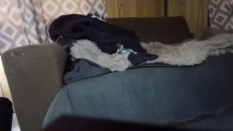 Snapshot of maximus_oreally chatting on 1, 2, 2025 Max online show from 1, 2, 2025