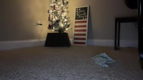 Snapshot of maxx276828 chatting on 22, 11, 2025 maxx276828 online show from 22, 11, 2025