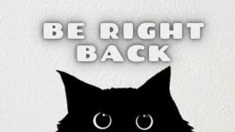 Maya online show from 11, 11, 2025