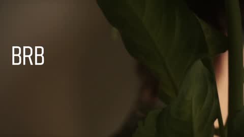 Mary  . online show from 28, 12, 2024