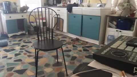 Snapshot of mdman32 chatting on 28, 2, 2025 mdman32 online show from 28, 2, 2025