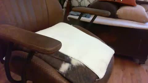 Snapshot of medfirebear chatting on 28, 11, 2025 medfirebear online show from 28, 11, 2025