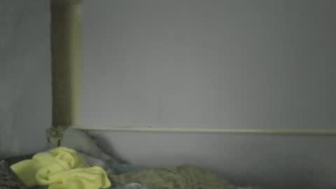 Oltereodora-lima online show from 30, 12, 2024