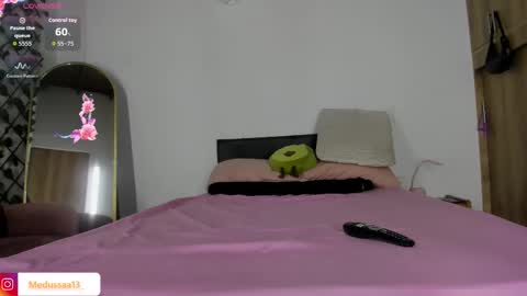 Snapshot of medussa13 chatting on 25, 2, 2026 medussa13 online show from 25, 2, 2026