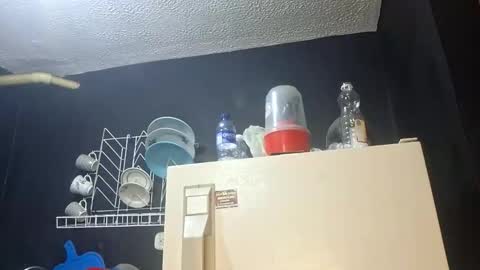 Snapshot of megan_coop3r_ chatting on 5, 11, 2025 Megan and sophi online show from 5, 11, 2025