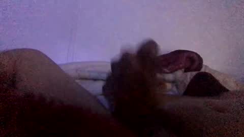 Snapshot of megustajalarmela chatting on 3, 2, 2026 Mijo online show from 3, 2, 2026