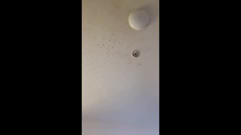 Snapshot of mel_hart_jr chatting on 25, 3, 2026 mel_hart_jr online show from 25, 3, 2026