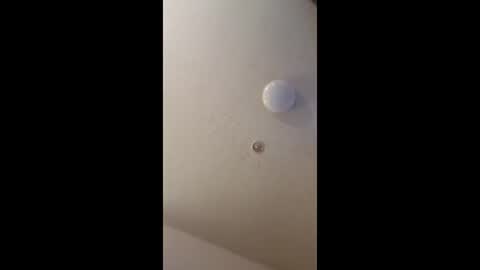Snapshot of mel_hart_jr chatting on 18, 5, 2026 mel_hart_jr online show from 18, 5, 2026