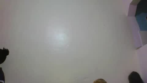 Baby online show from 12, 2, 2026